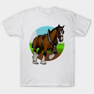 Single Clydesdale in harness T-Shirt